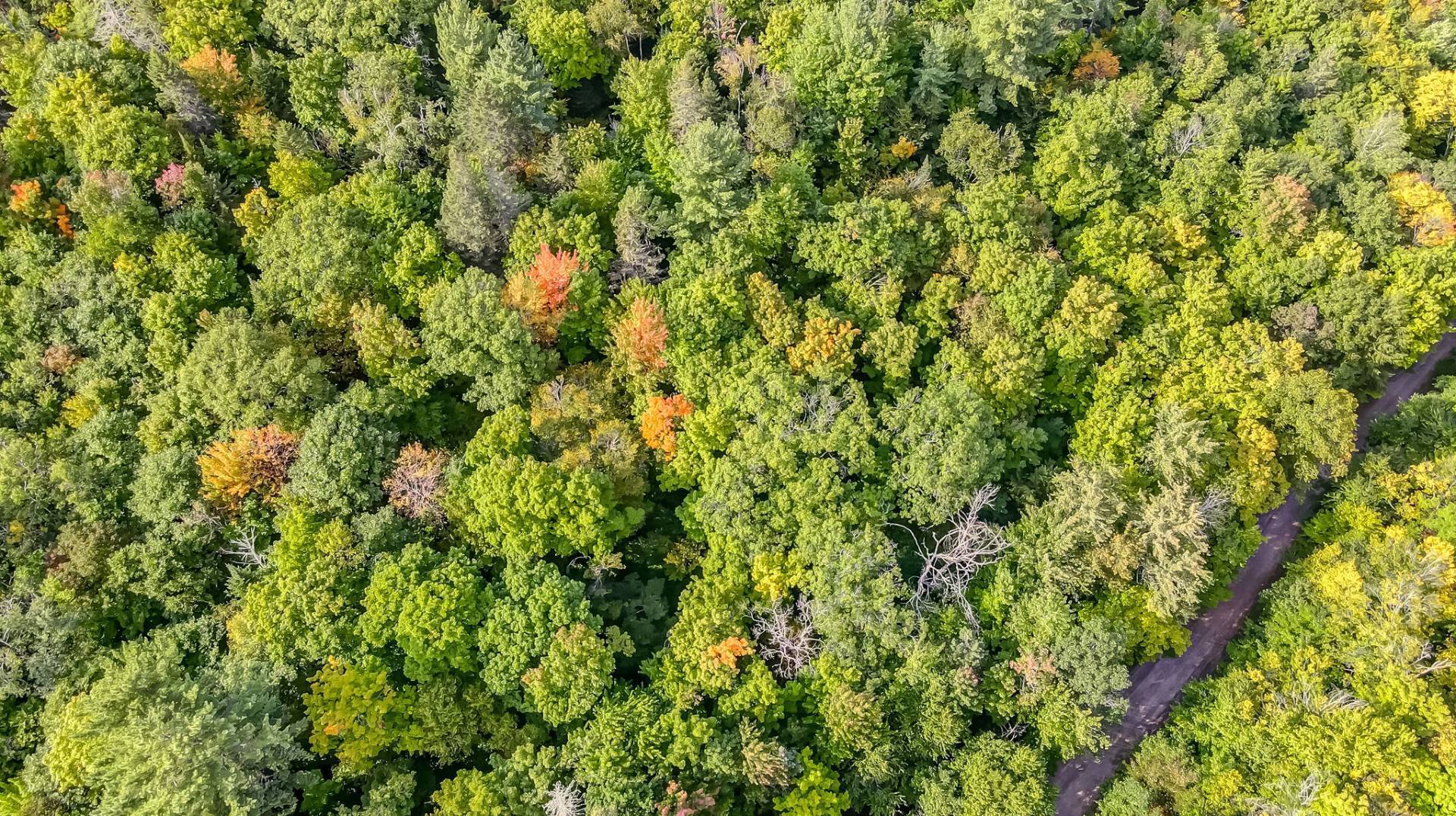 Aerial photo