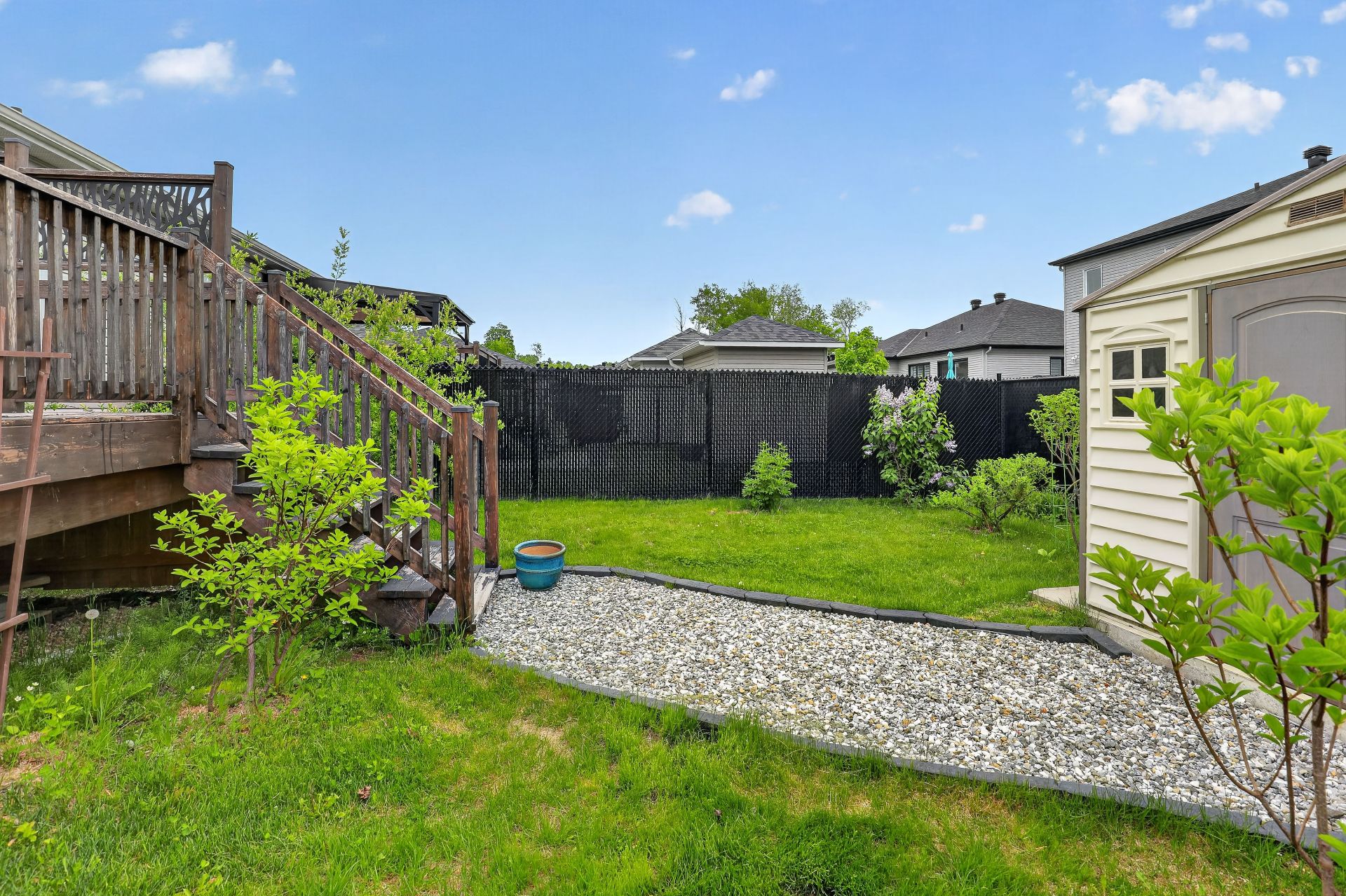Backyard