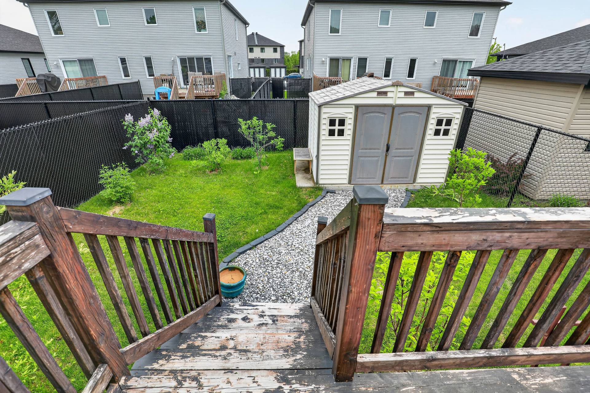 Backyard
