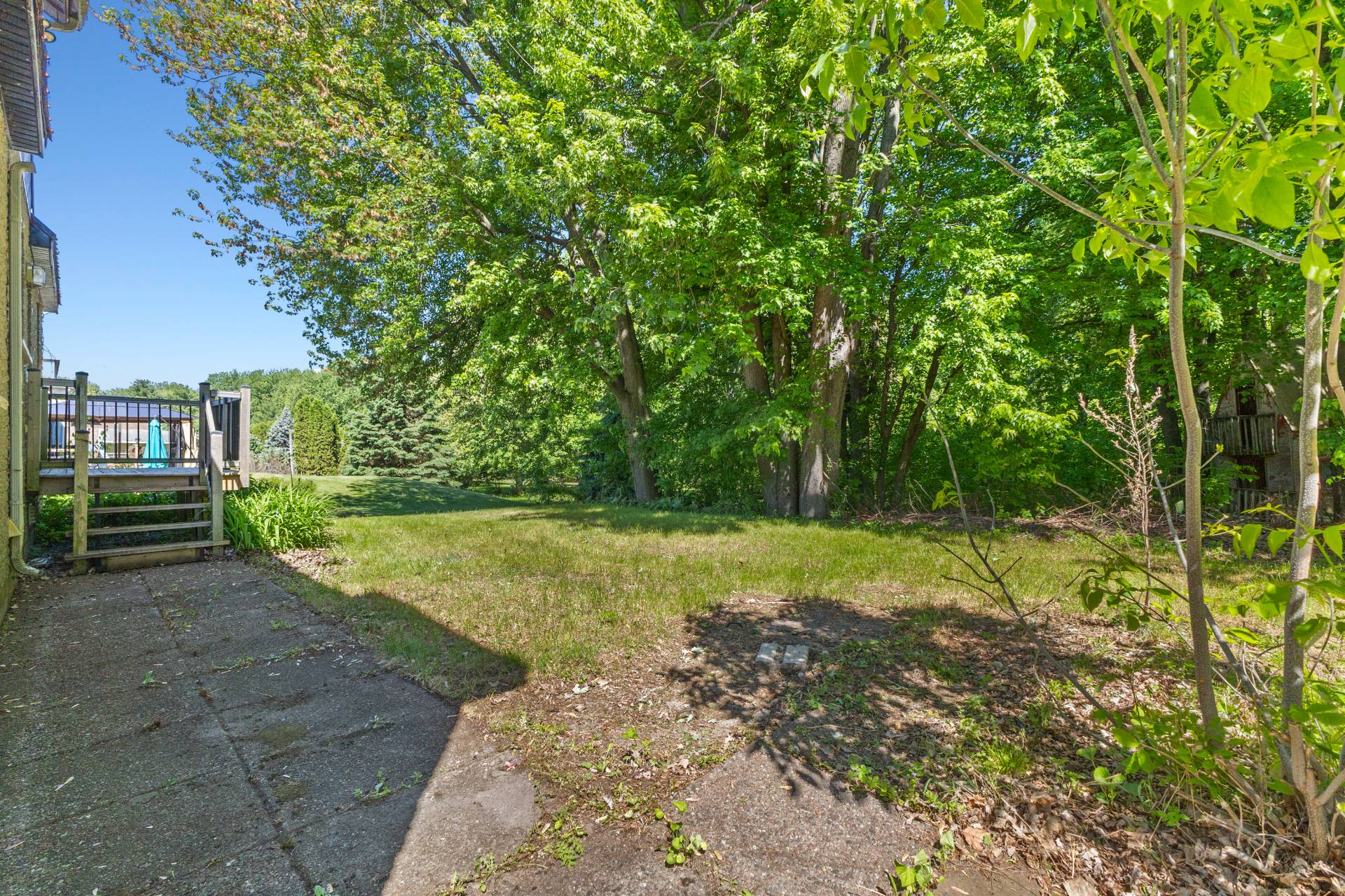 Backyard