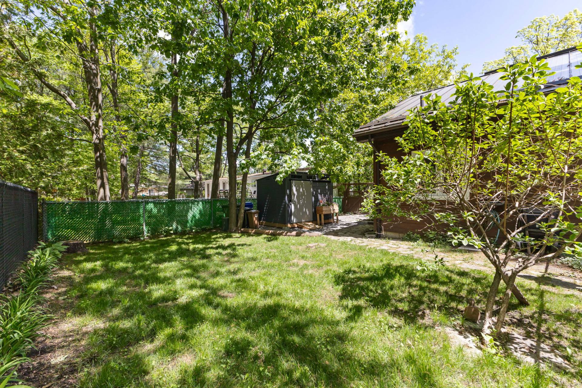Backyard