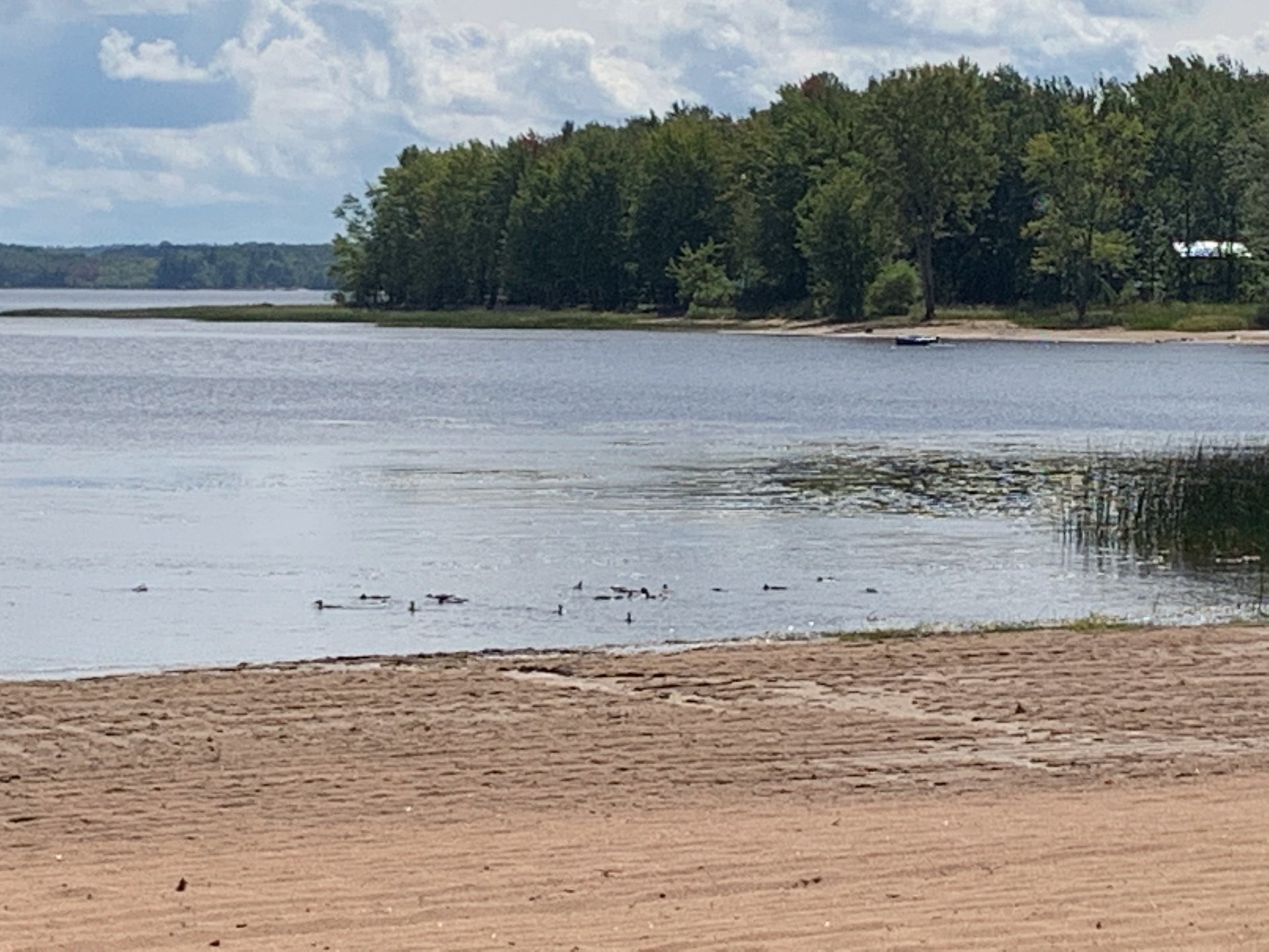 Vue sur l'eau