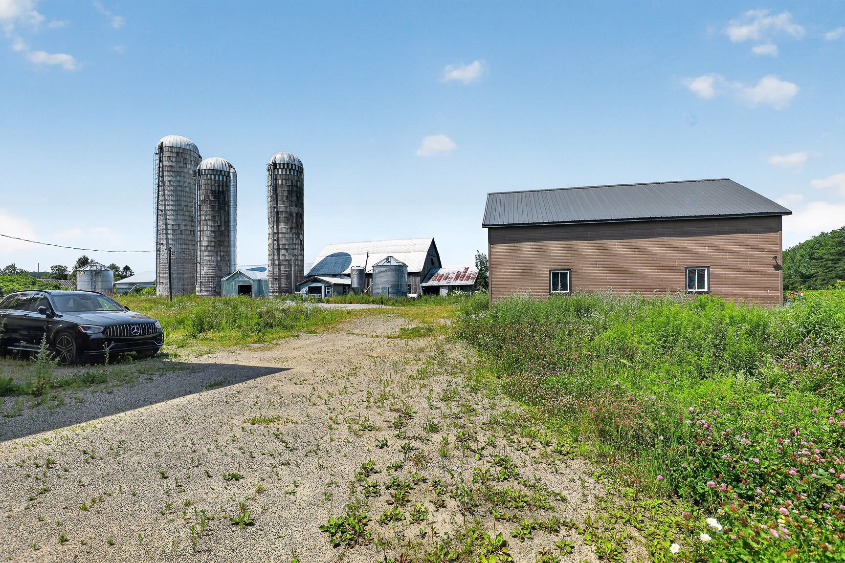 Overall view