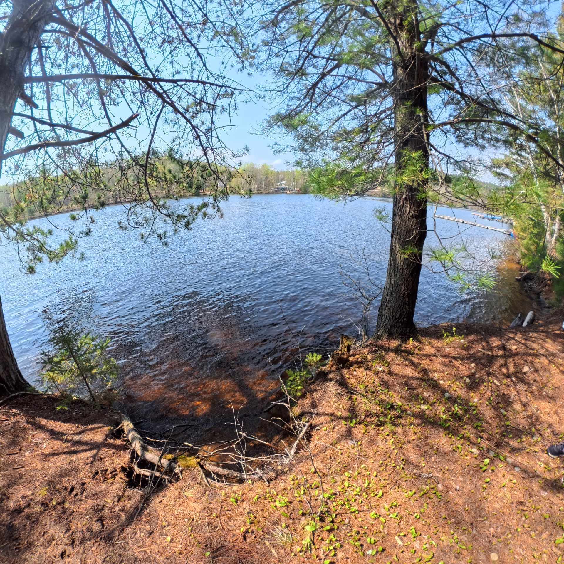 Bord de l'eau
