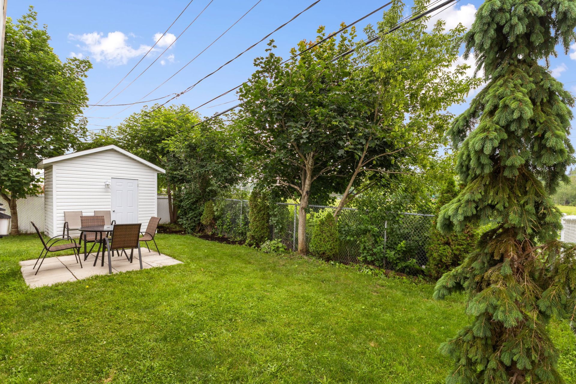 Backyard