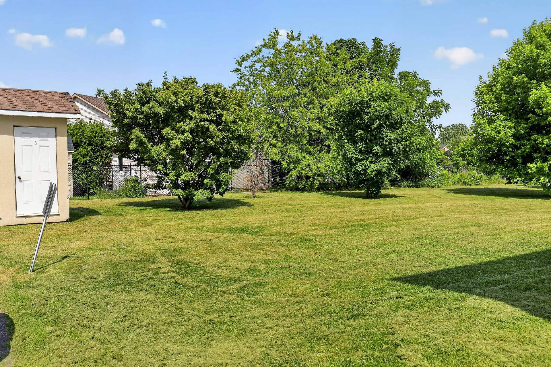 Backyard