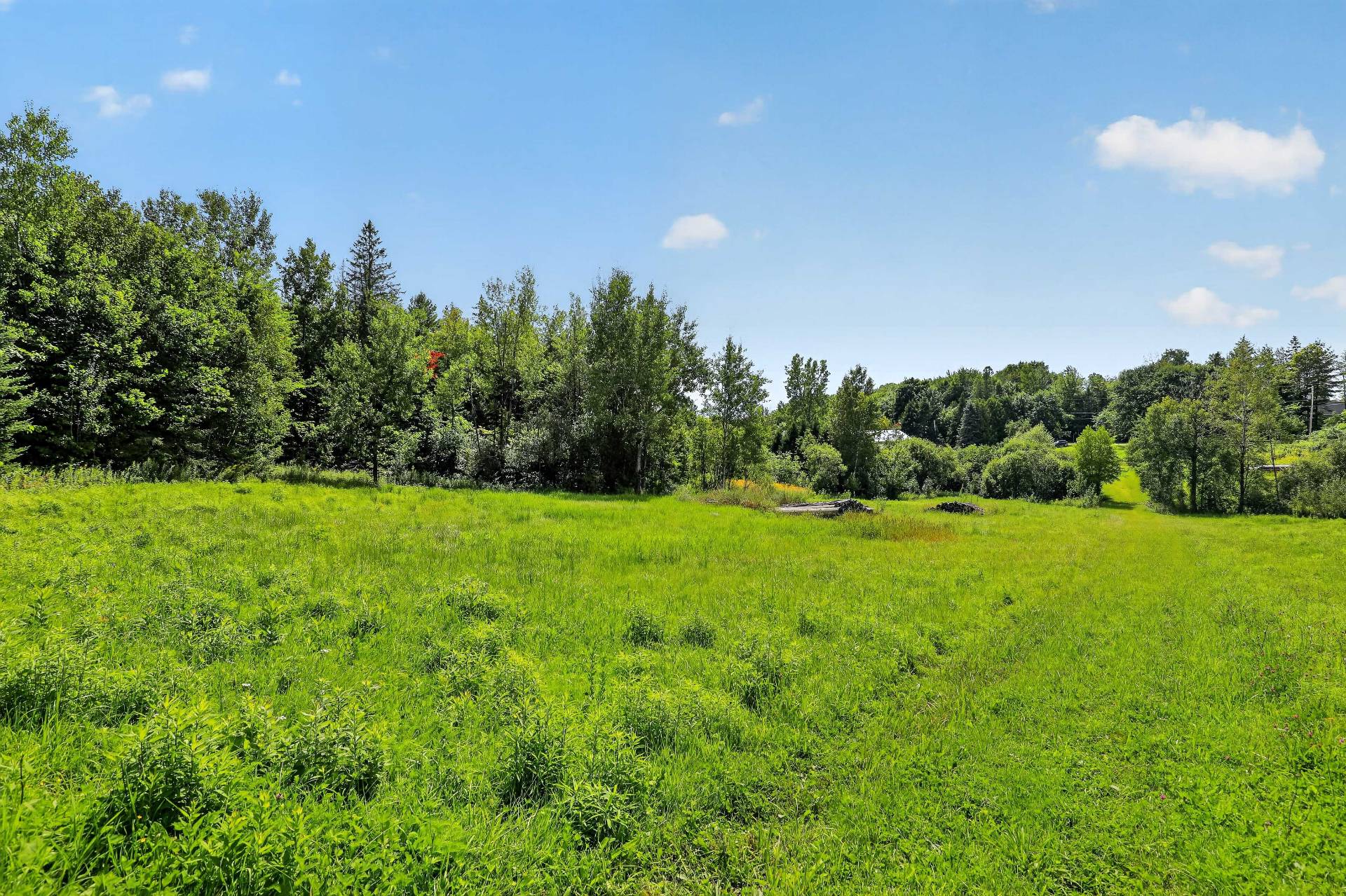 Terre/Terrain