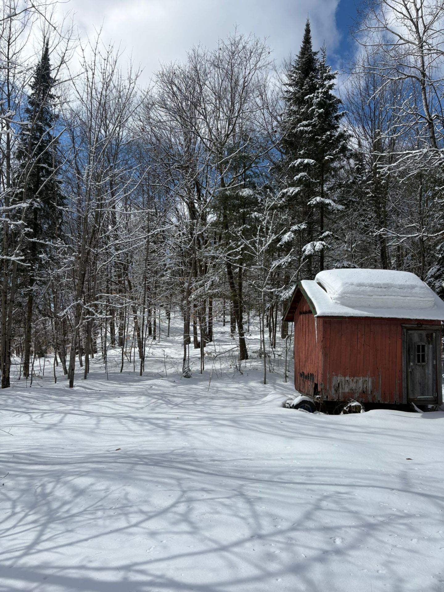 Terre/Terrain