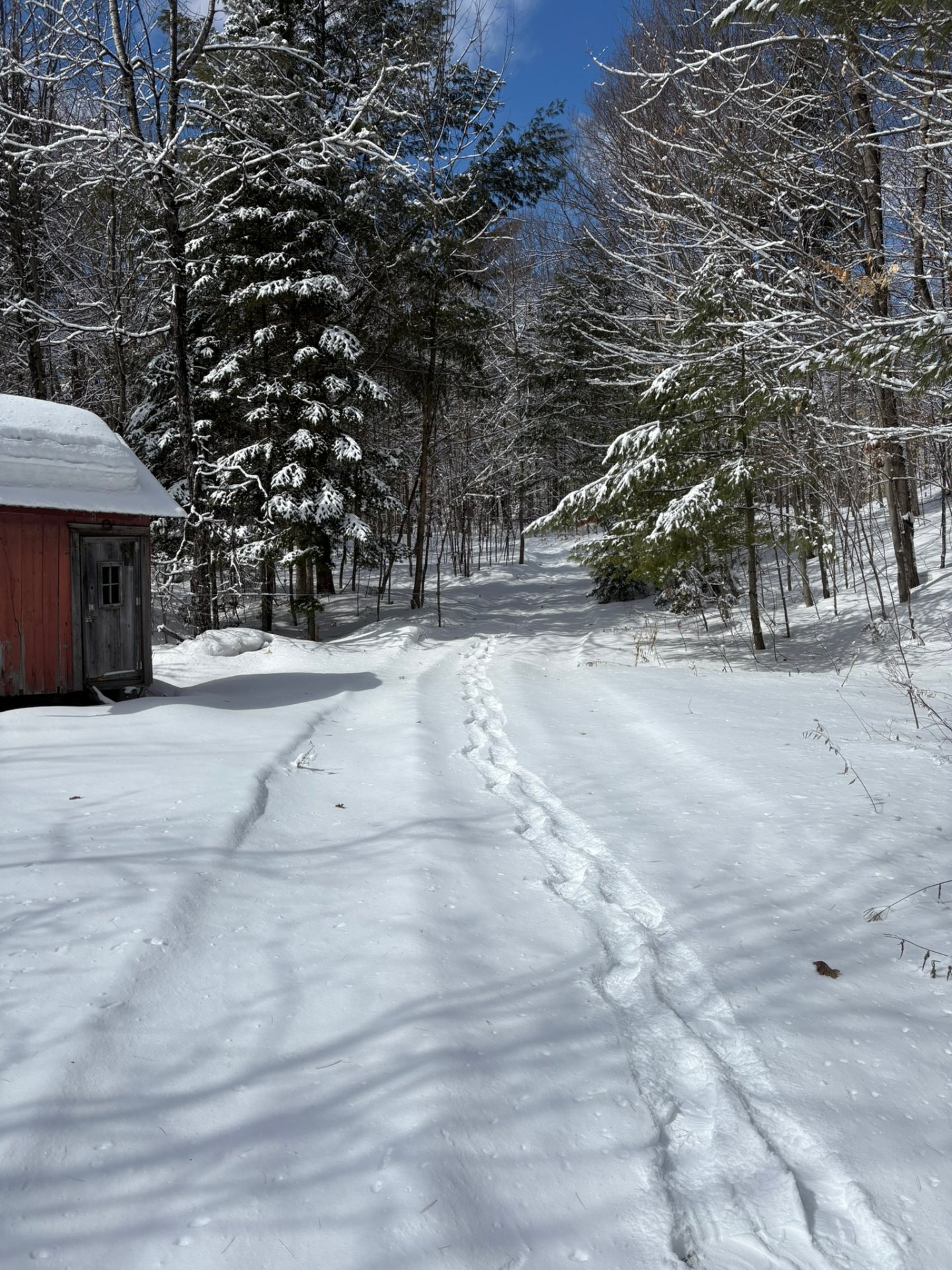 Terre/Terrain