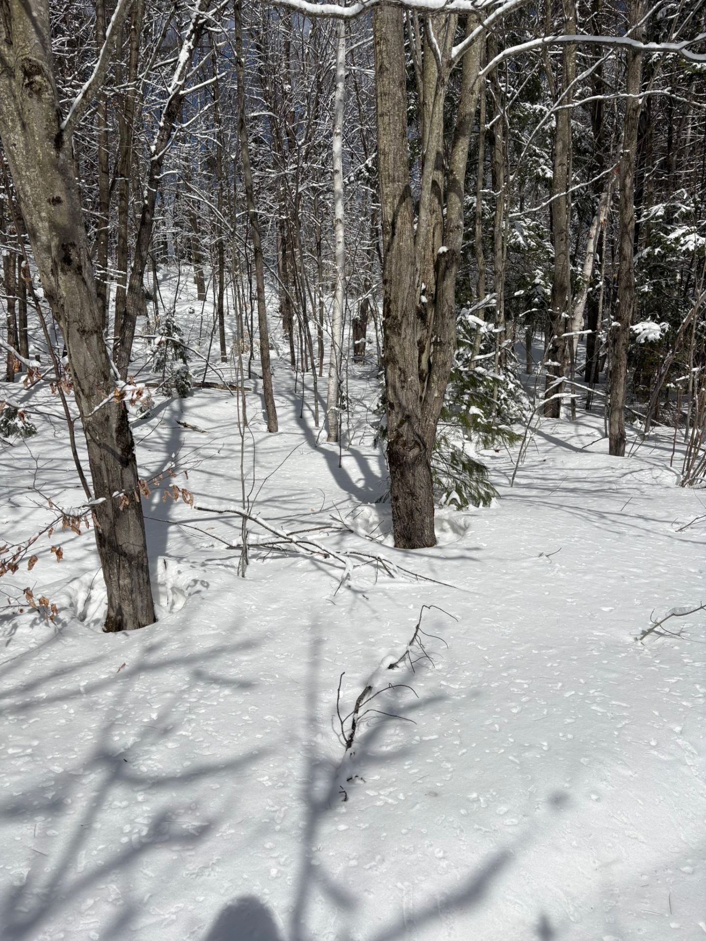 Terre/Terrain