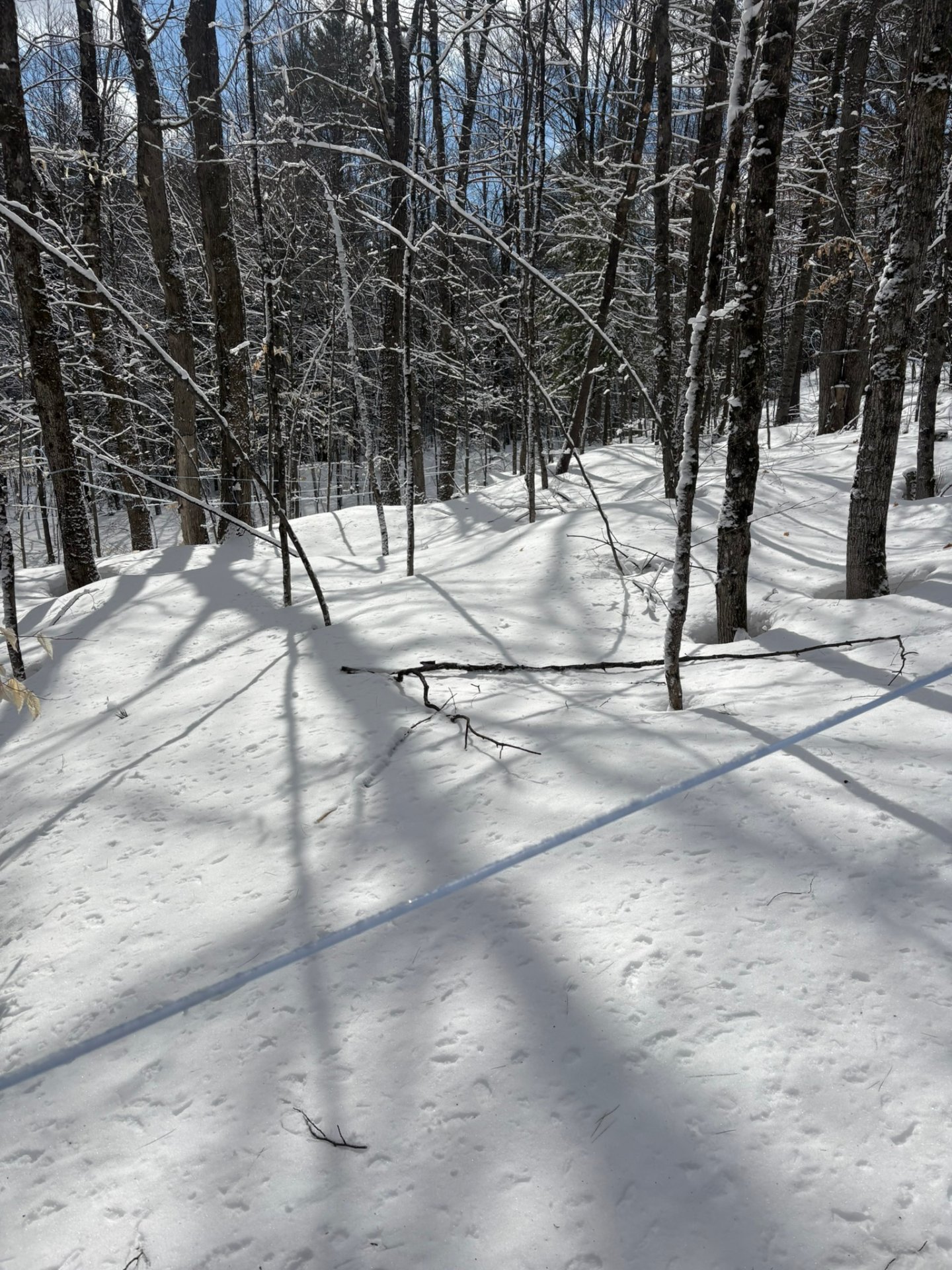 Terre/Terrain