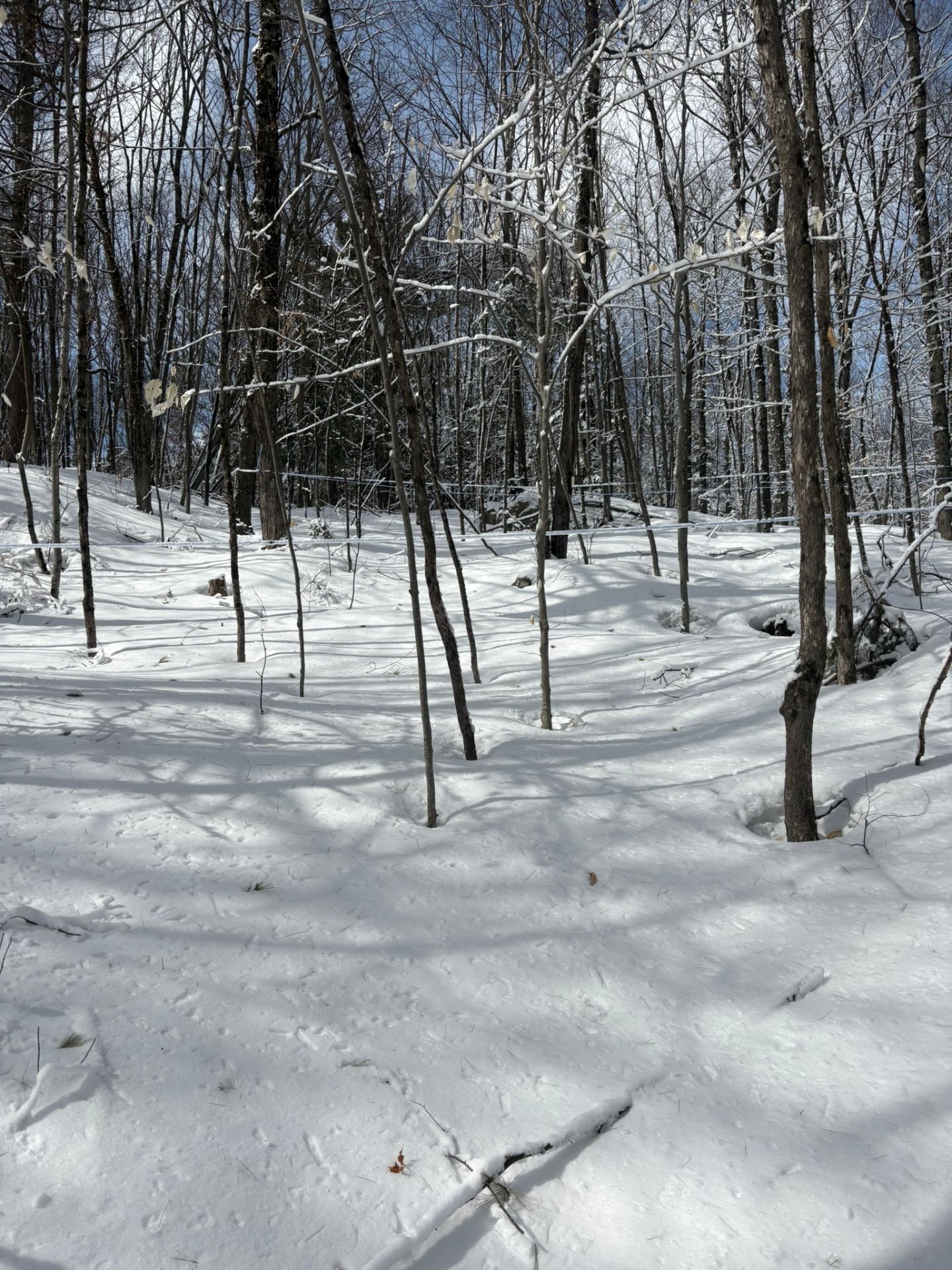 Terre/Terrain