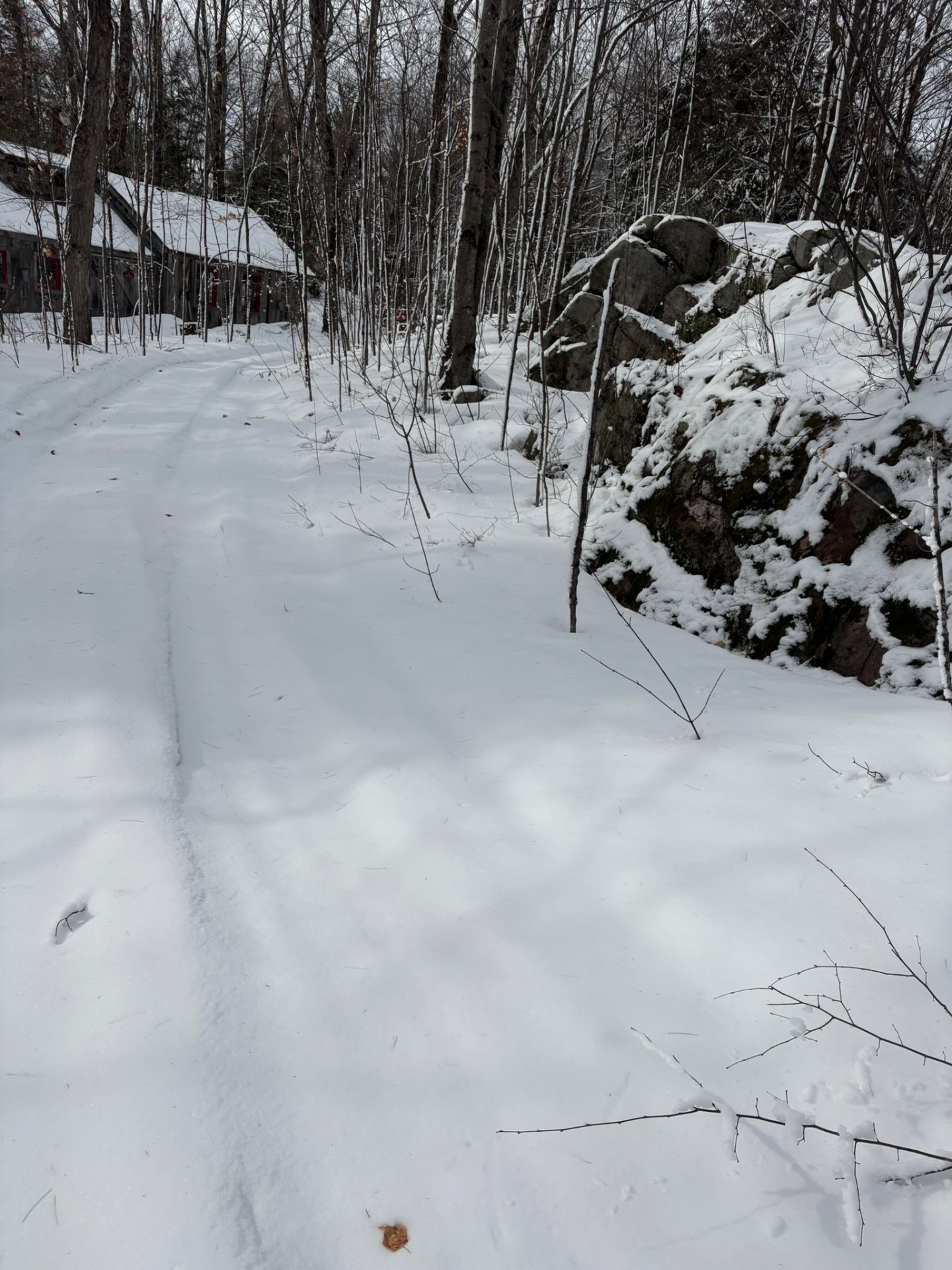 Terre/Terrain