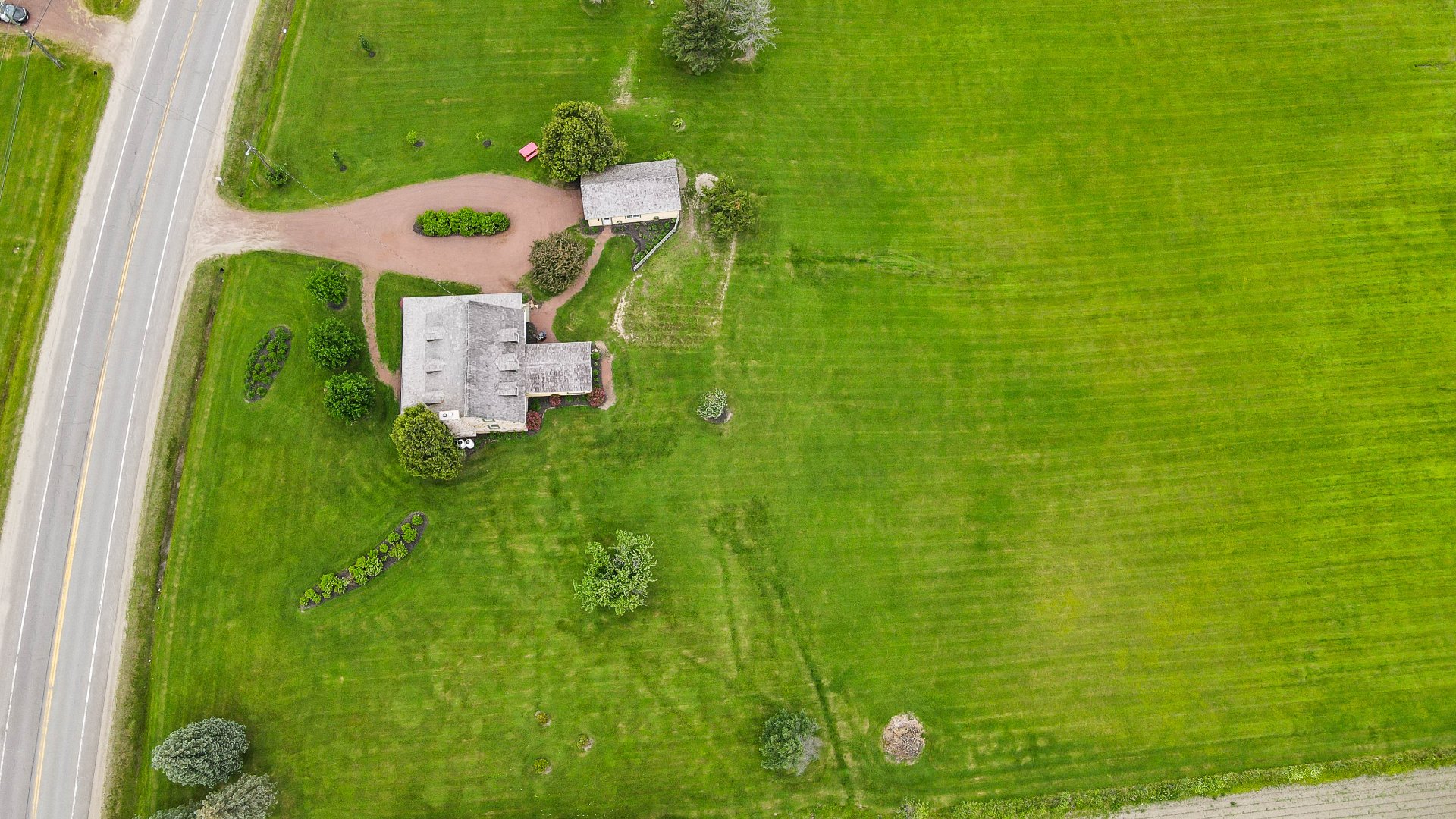 Overall View