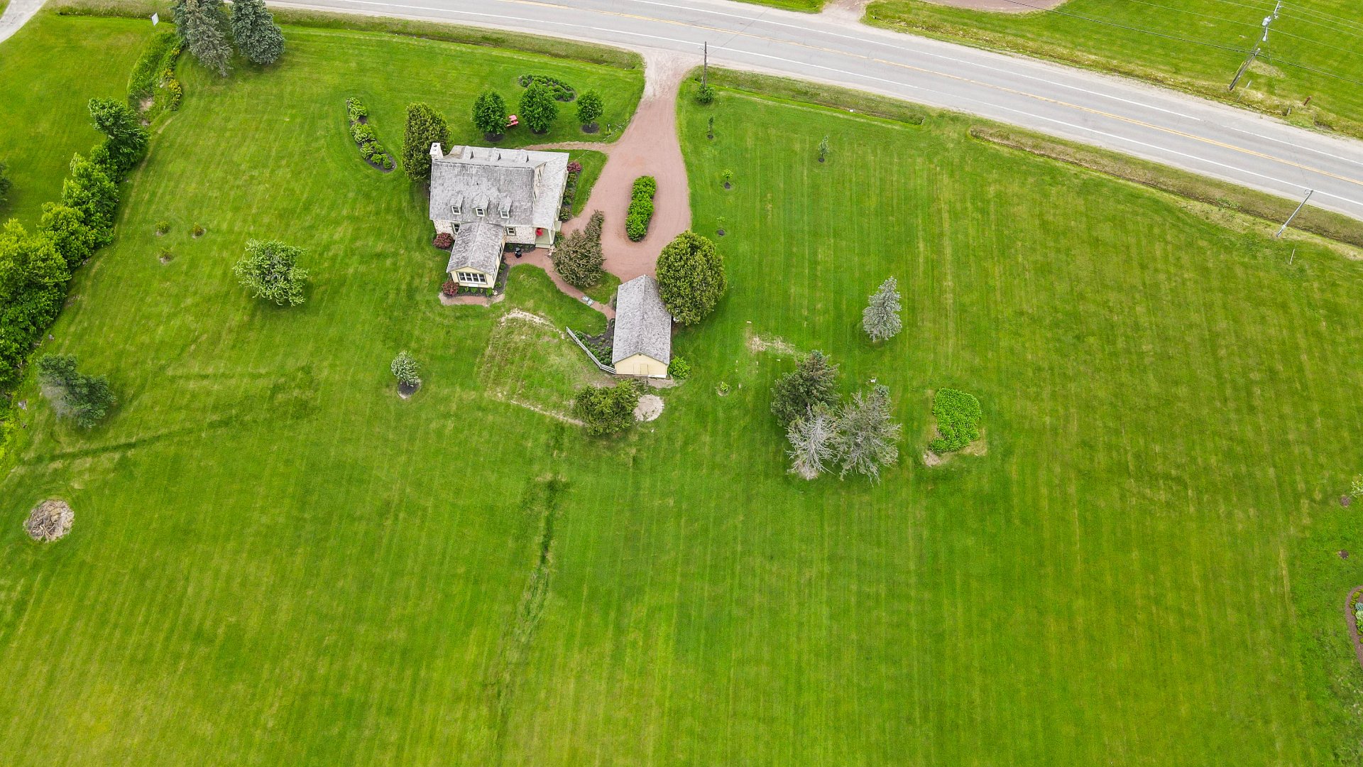 Overall View