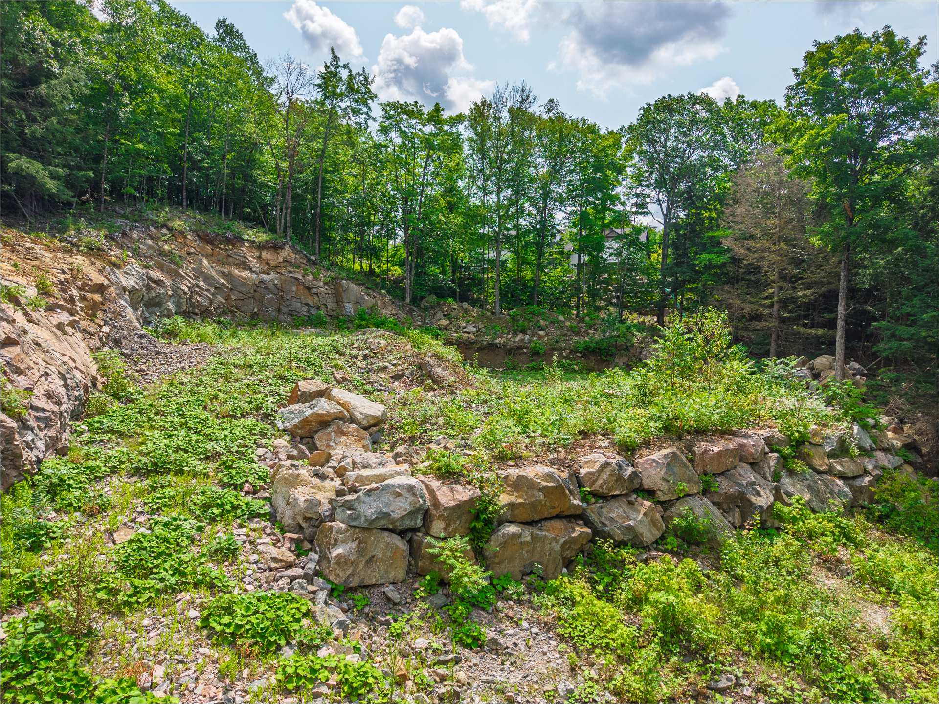 Land/Lot