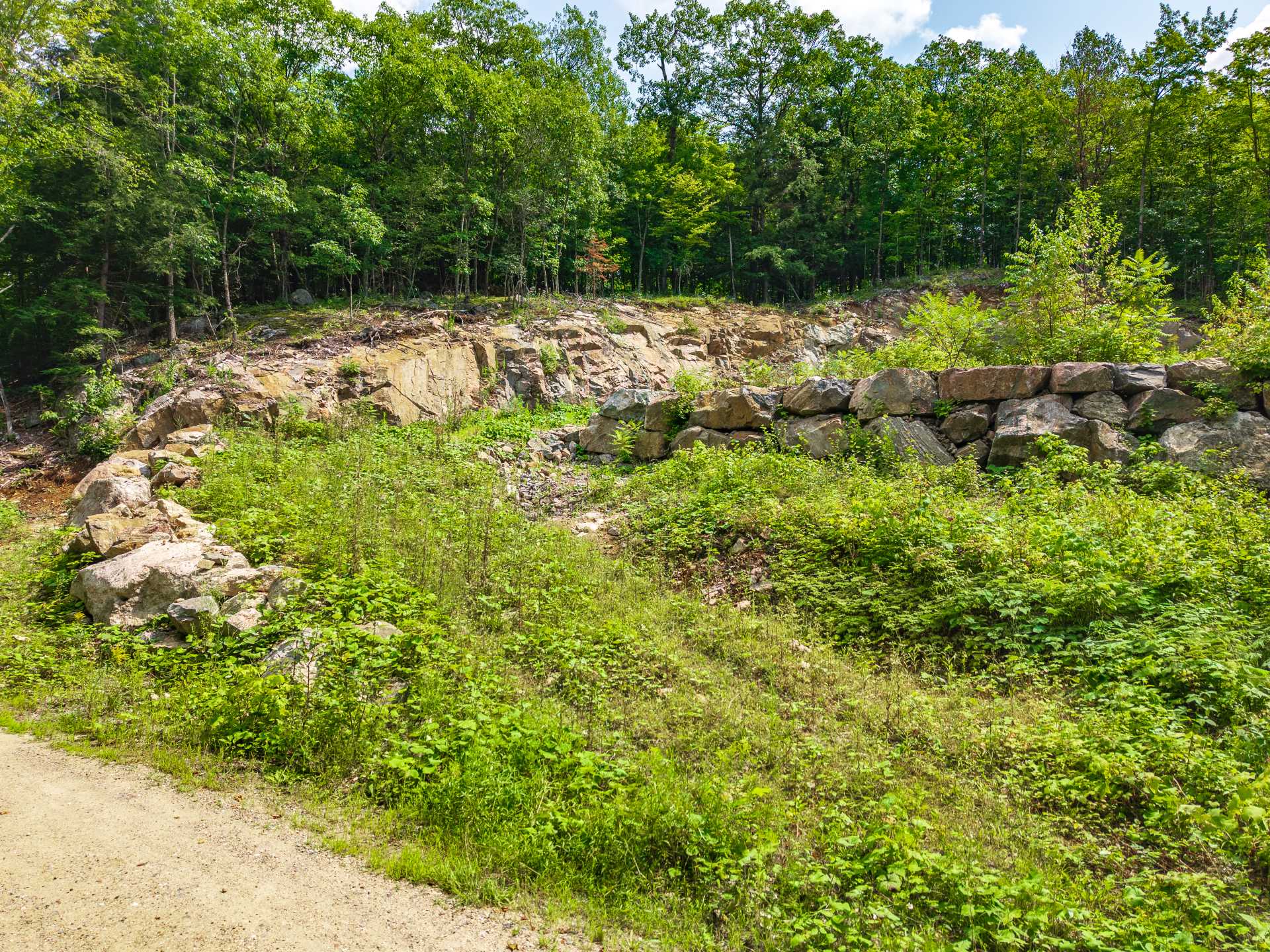Land/Lot