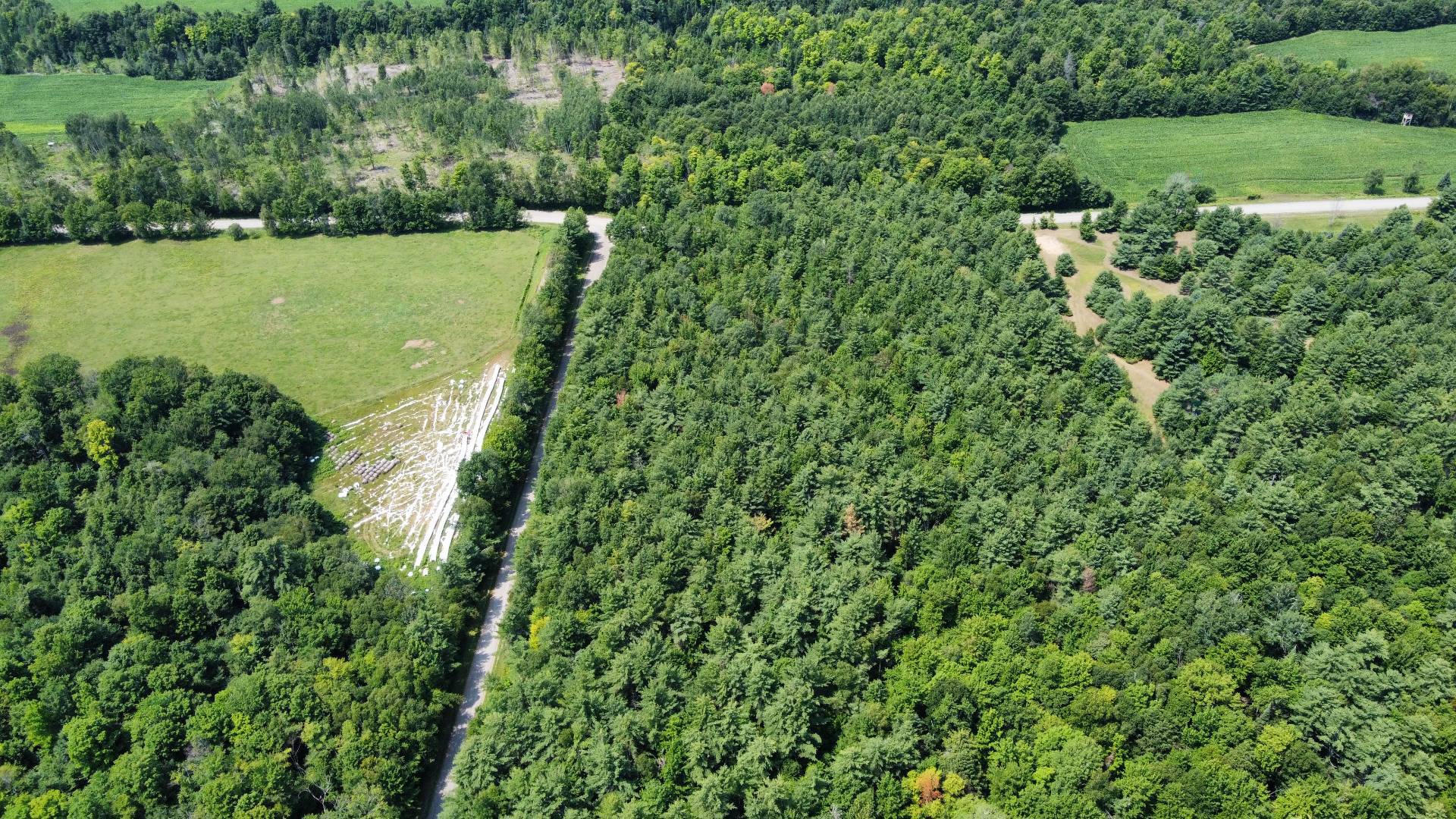 Aerial photo
