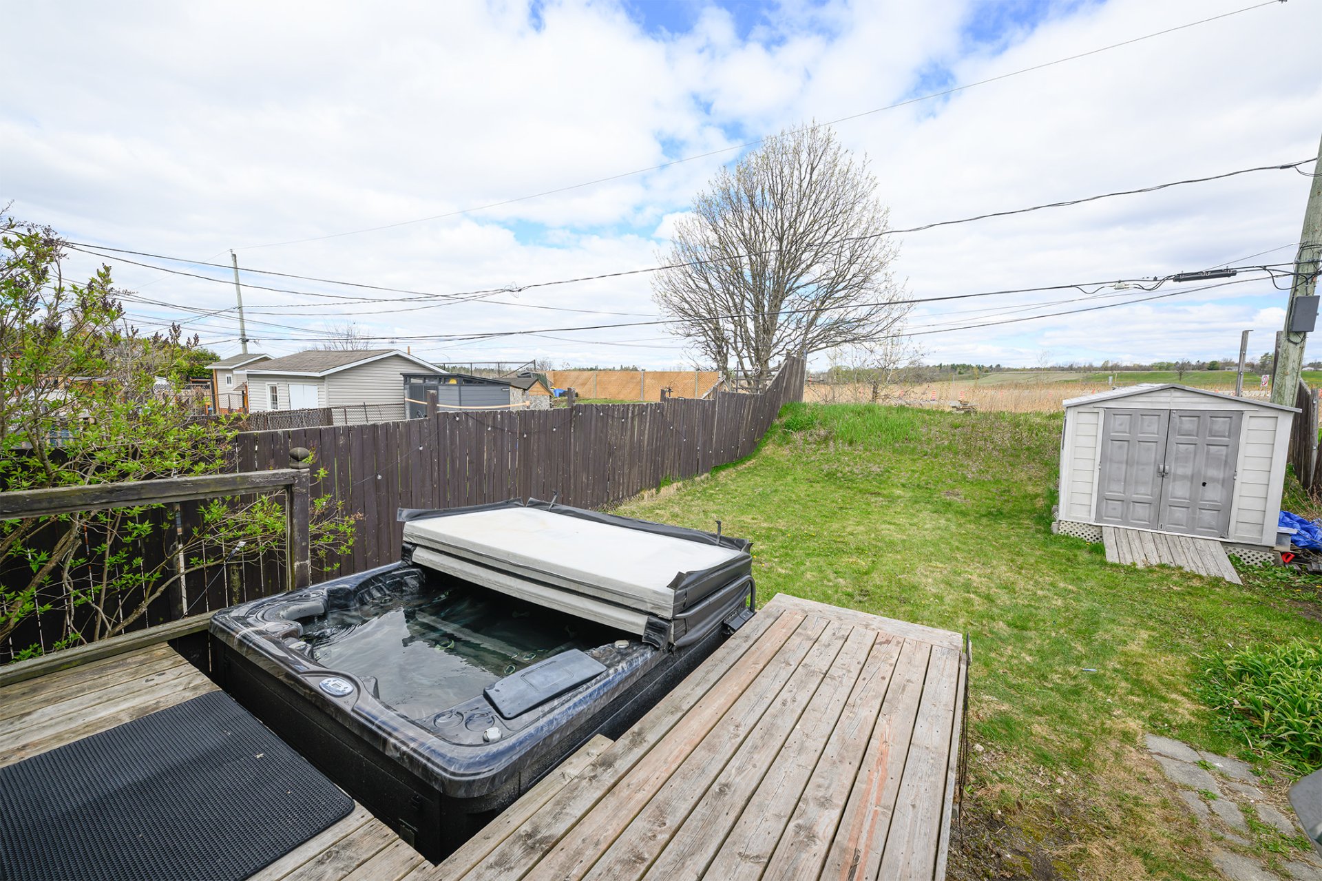 Backyard