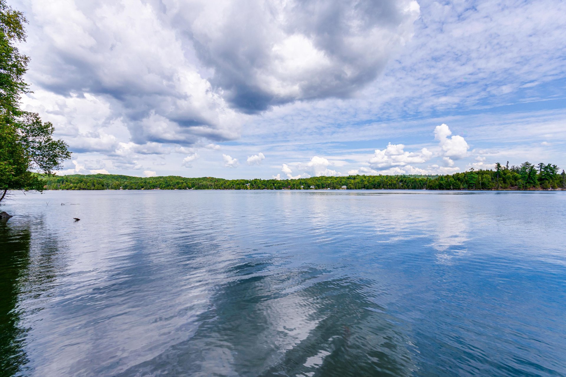 Water view