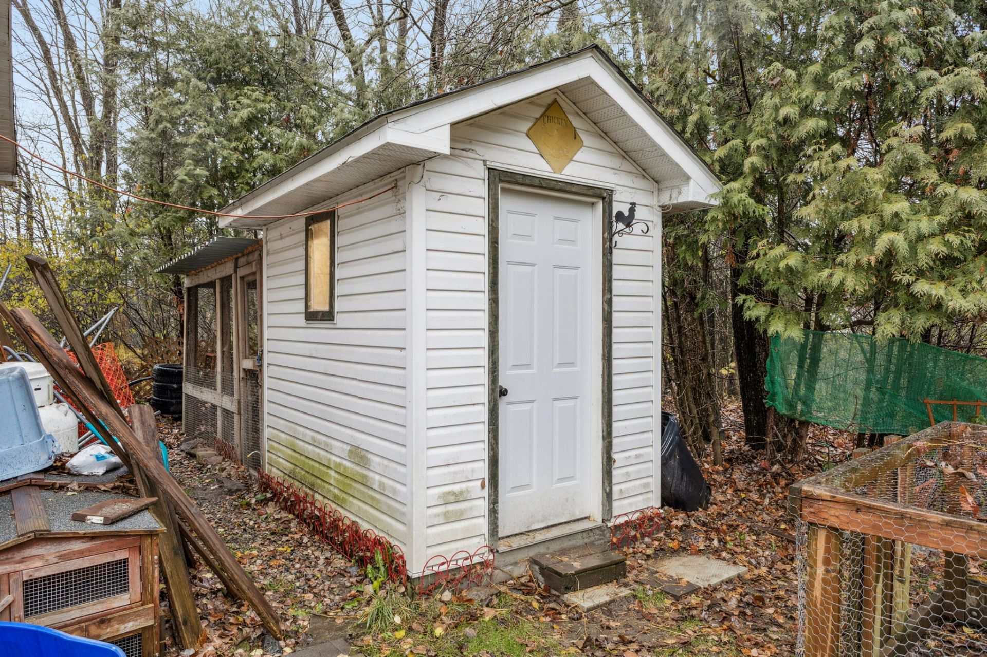 Shed