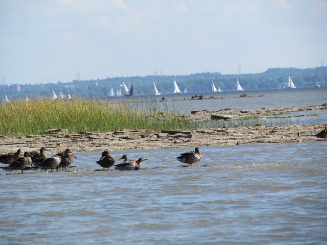 Water view