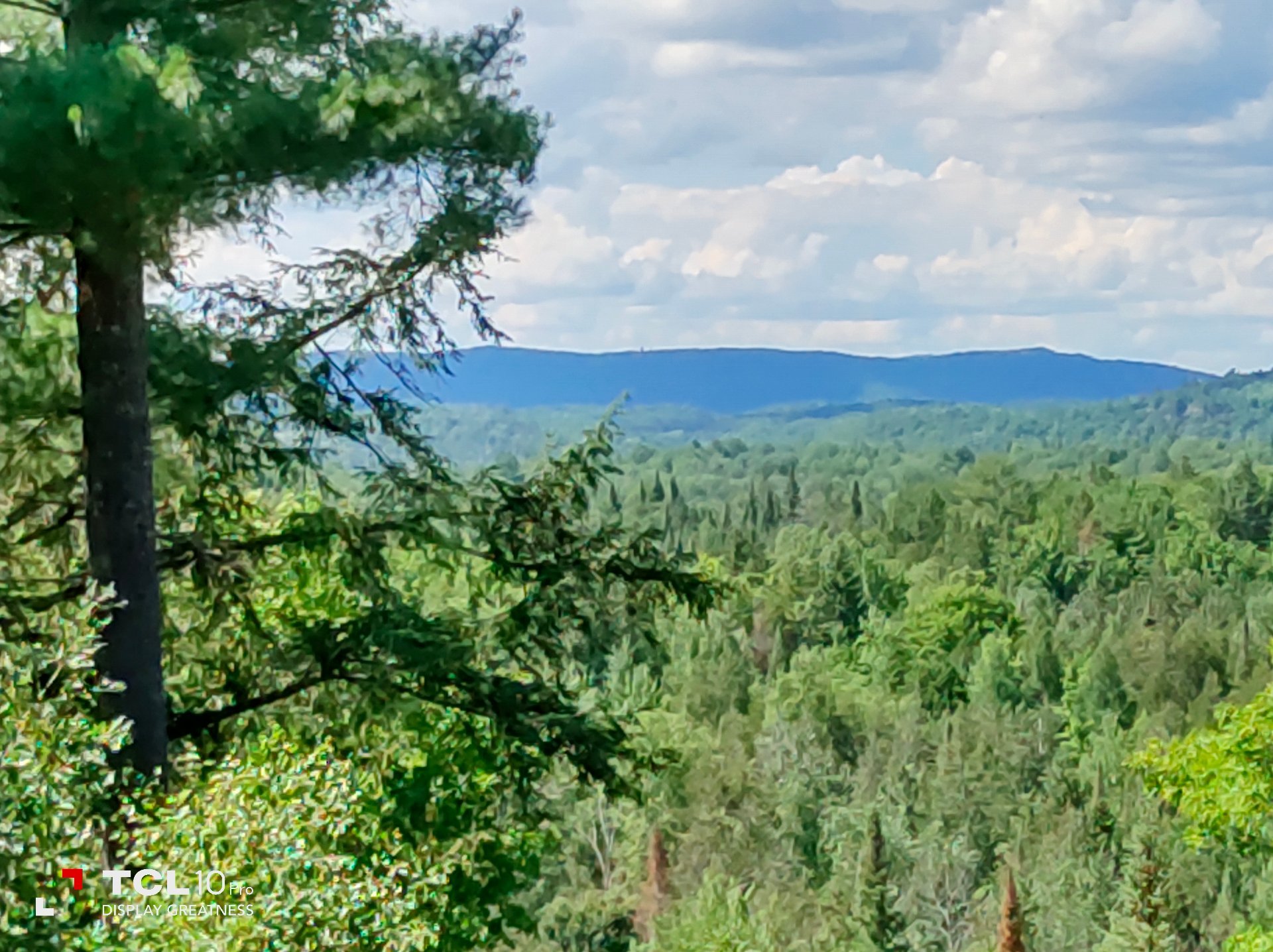 View