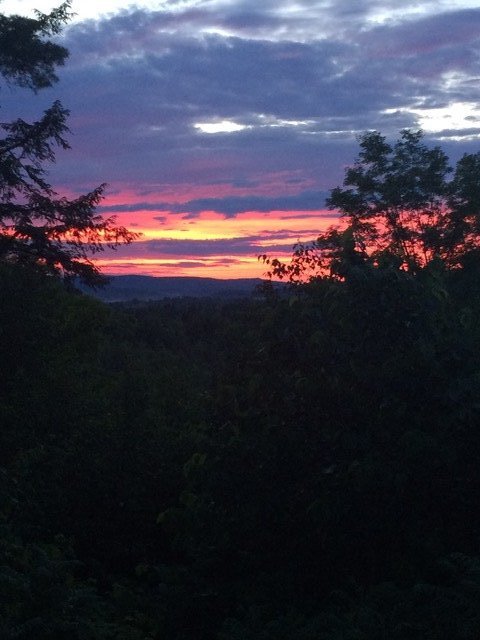 View