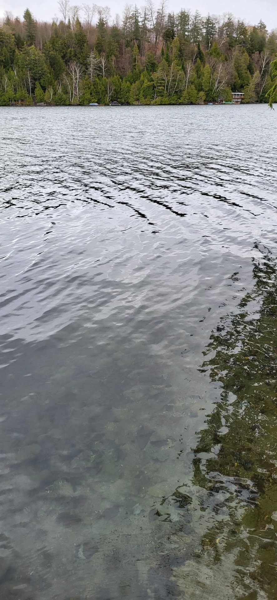 Waterfront