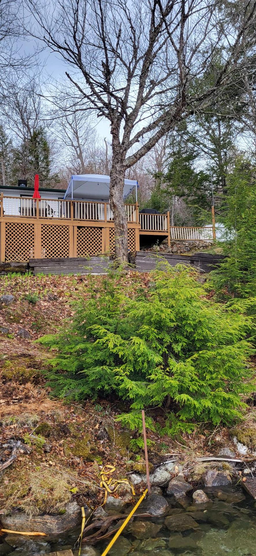 Overall View