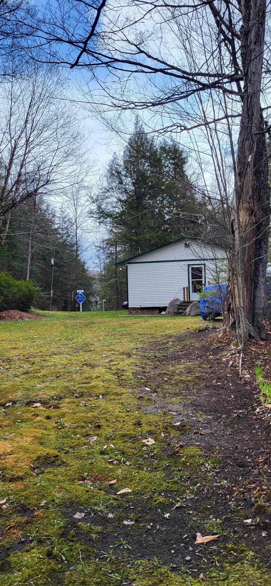 Wooded area