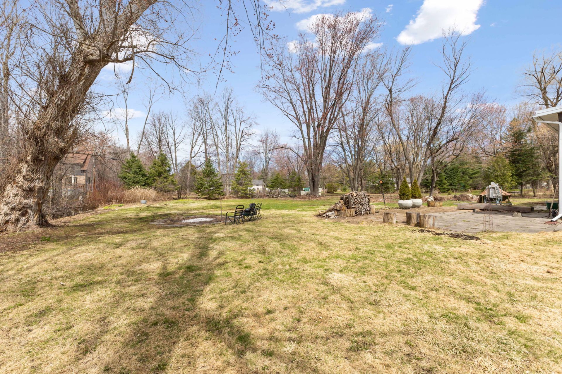 Backyard