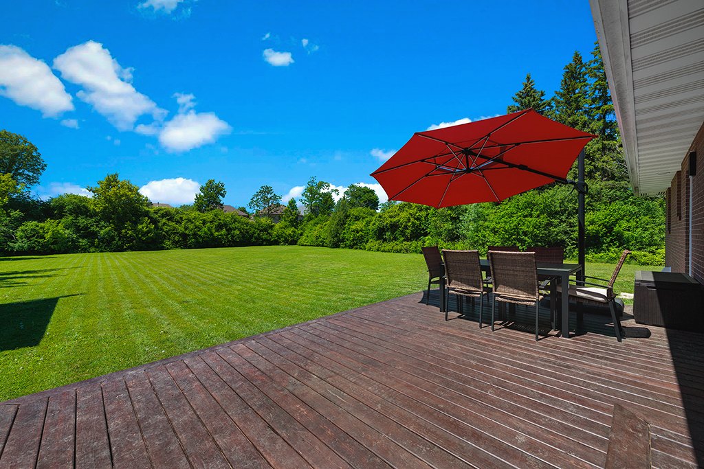 Backyard