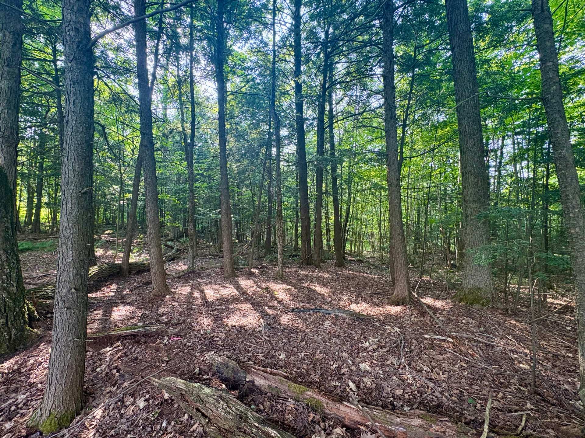 Land/Lot