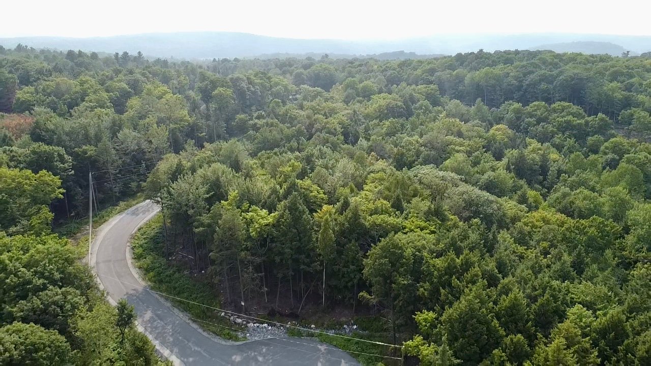 Land/Lot