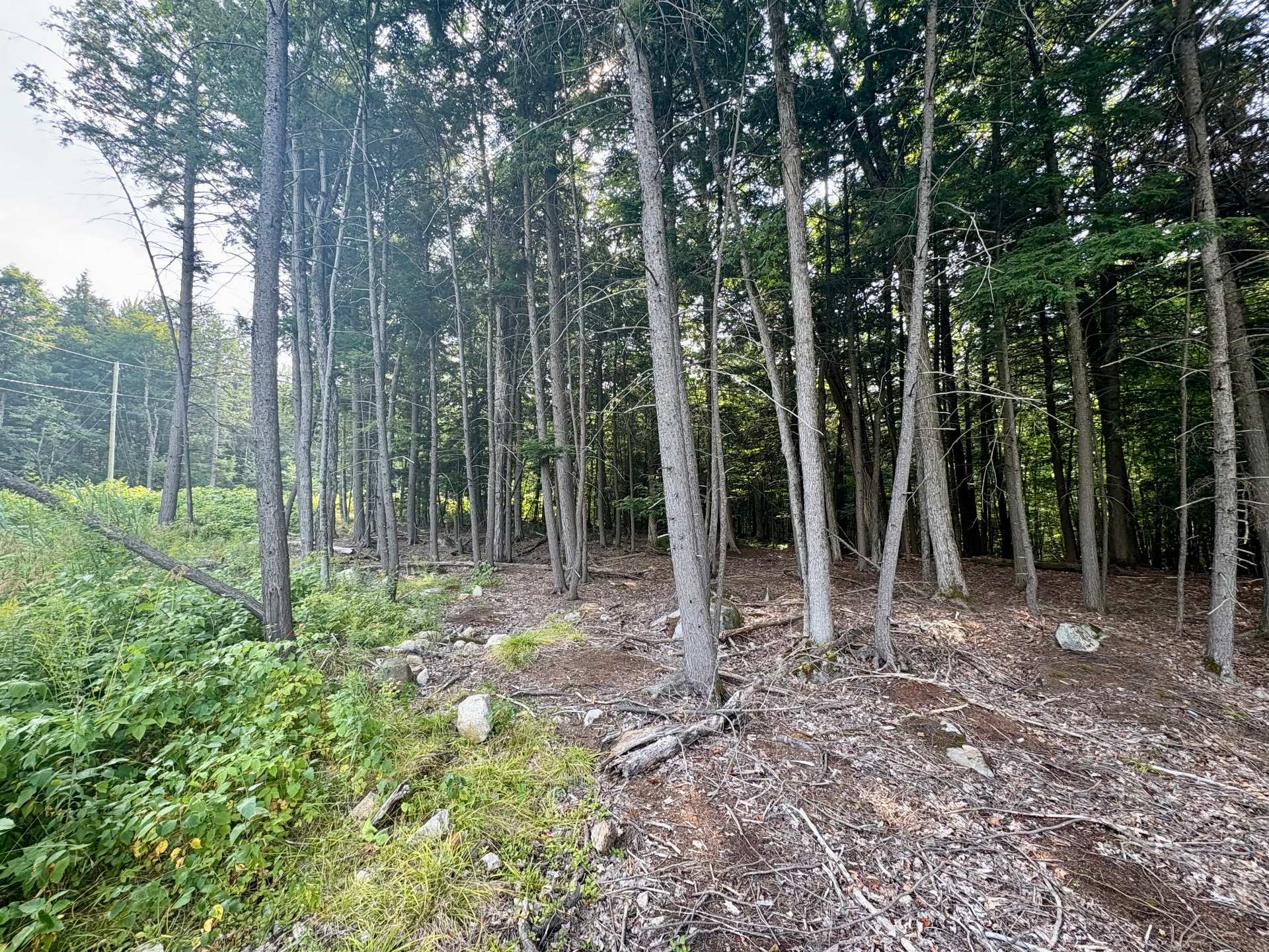 Land/Lot