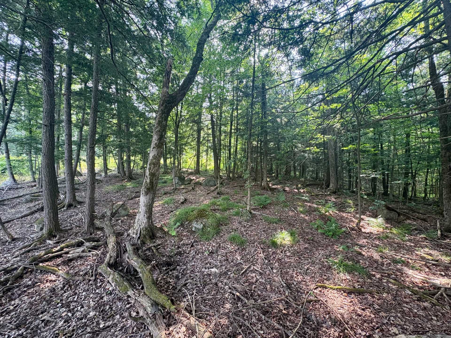 Land/Lot