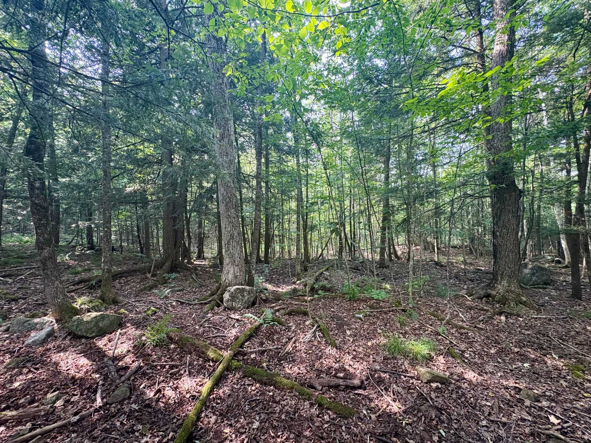 Land/Lot