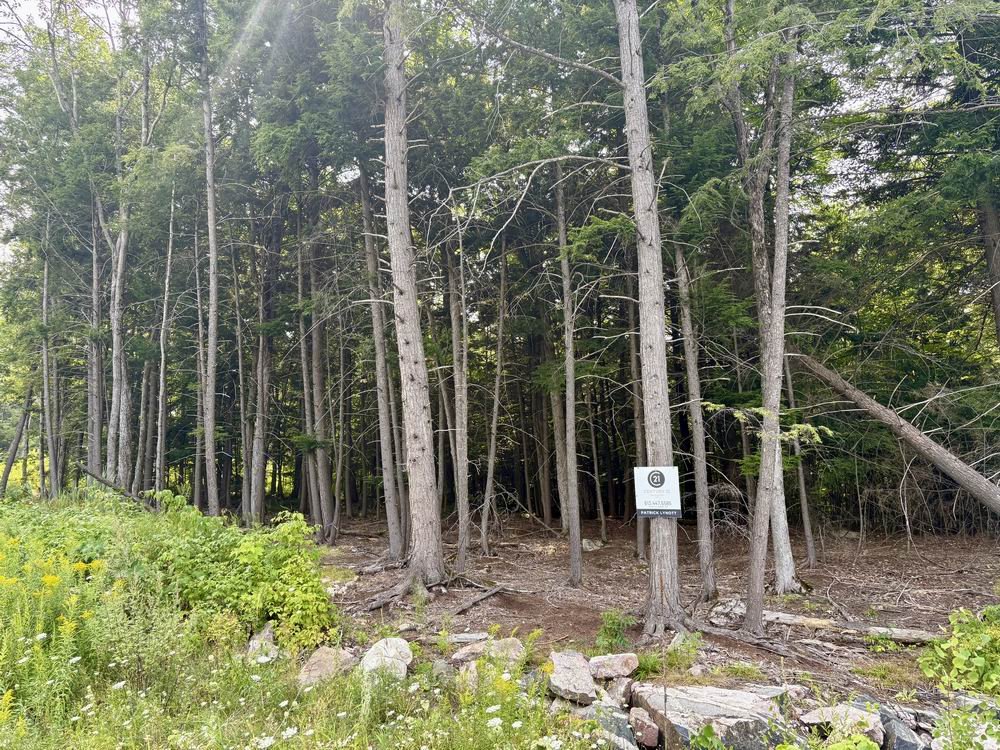 Land/Lot