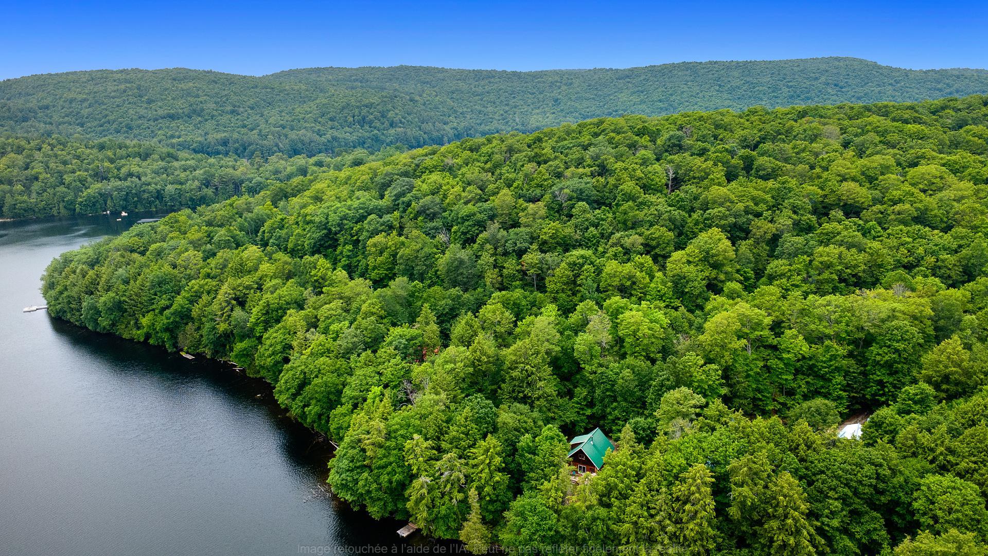Aerial photo