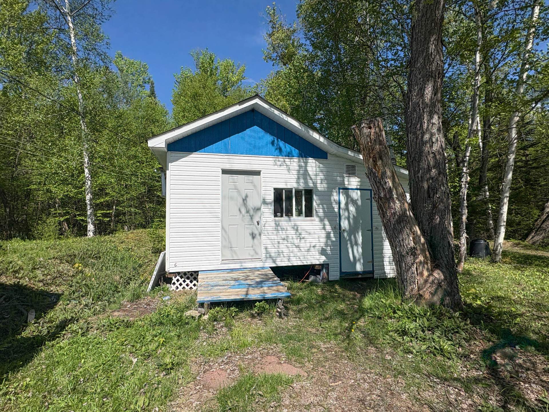 Shed