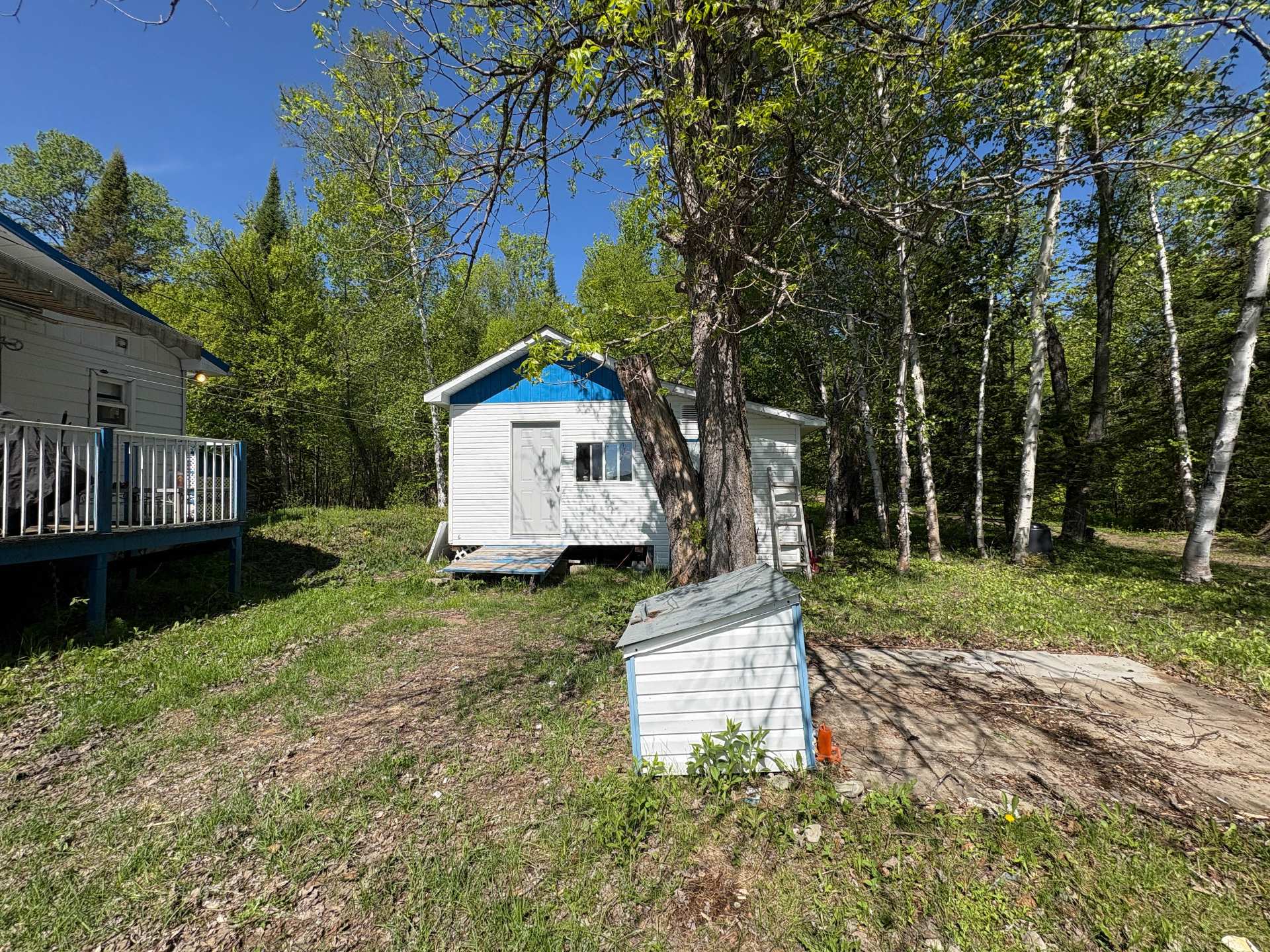 Shed