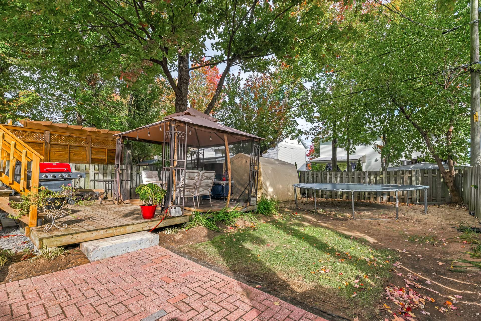 Backyard