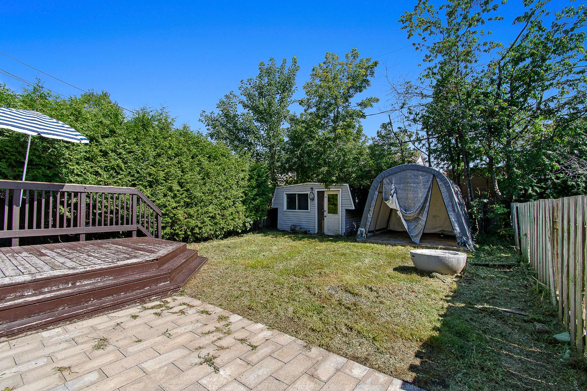 Backyard