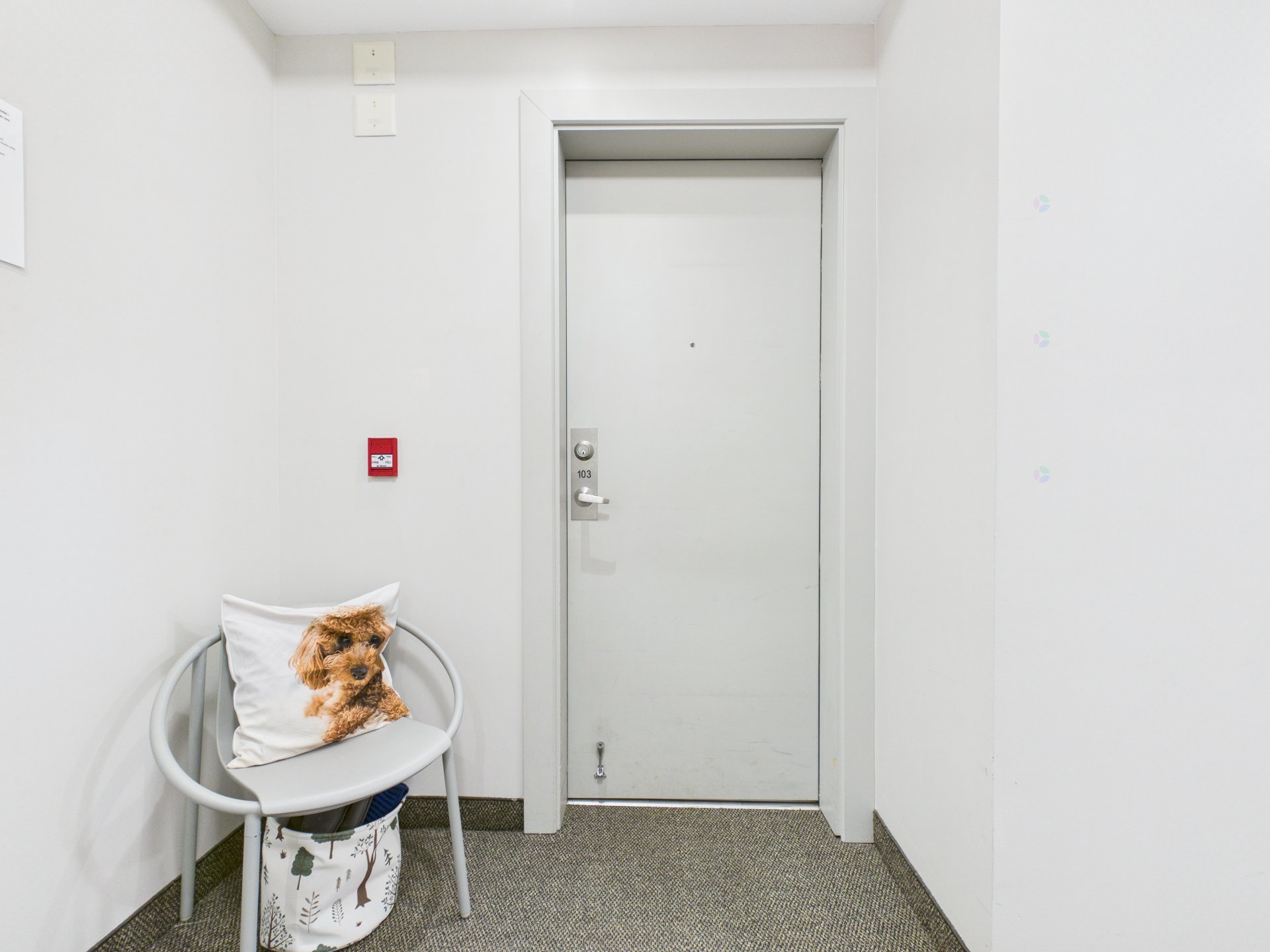 Hall d'entrée/Vestibule