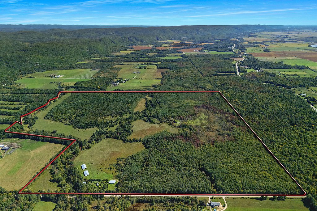Aerial photo
