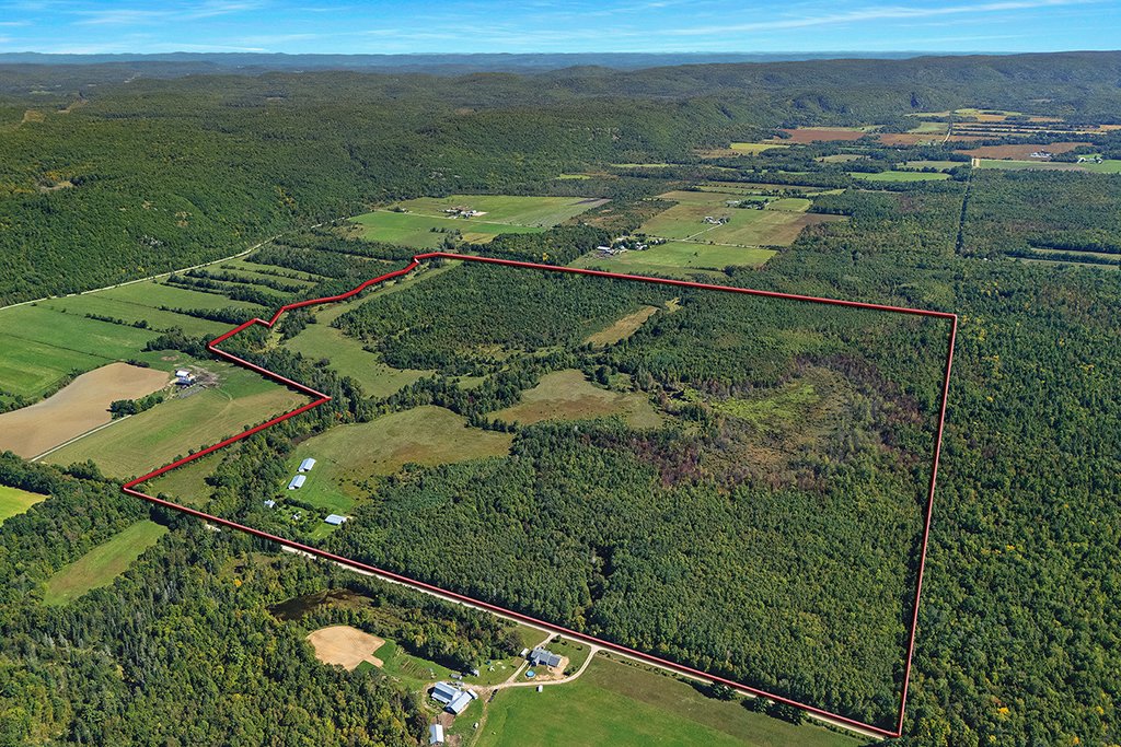 Aerial photo