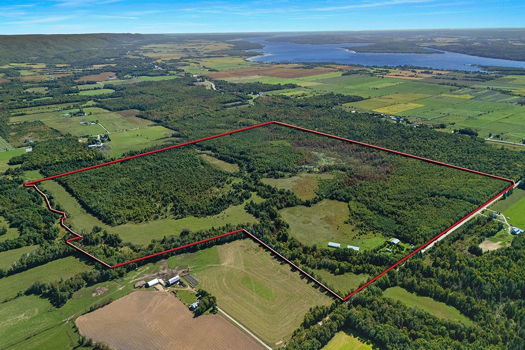 Aerial photo