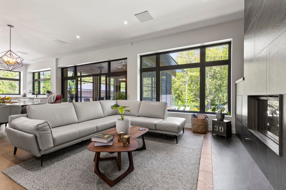 Living room - High-end speaker in the living room