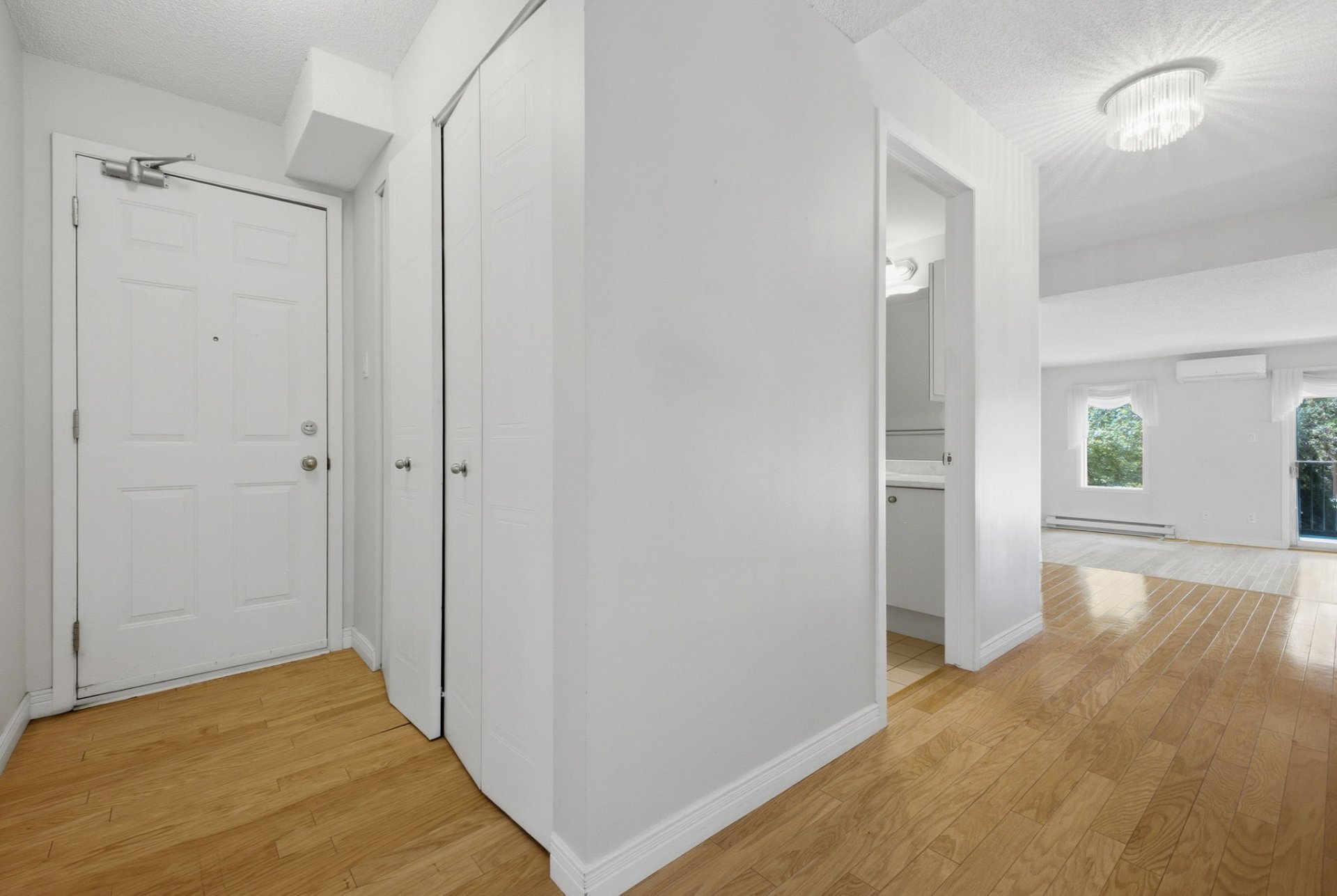Hall d'entrée/Vestibule